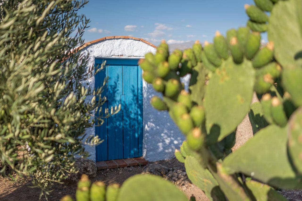 Padul Al Agia - Mirador De Los Quinientos المظهر الخارجي الصورة